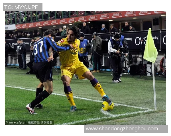 图库曼与帕梅激战在即谁能在这场较量中脱颖而出