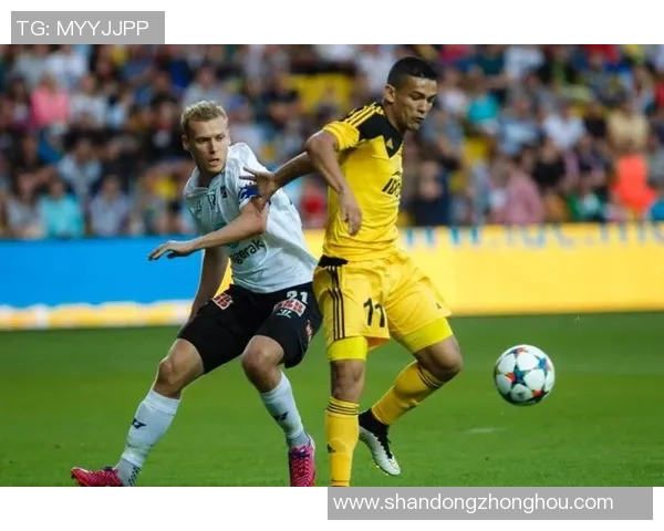 布兰与博德闪的巅峰对决谁能笑到最后揭开战斗的真相与荣耀