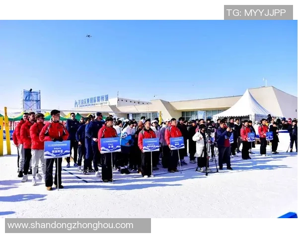 李军的排球之路：从少年梦想到职业生涯的心路历程MBA