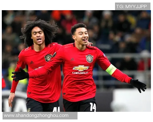 雷丁与加的夫城激战正酣比分悬念不断引发球迷热议