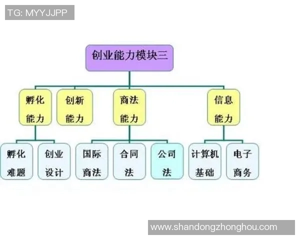 杭州篮球队运营体系中的战术创新与团队协作研究