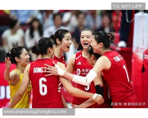 深度对话赵伟的排球人生与成长之路探索