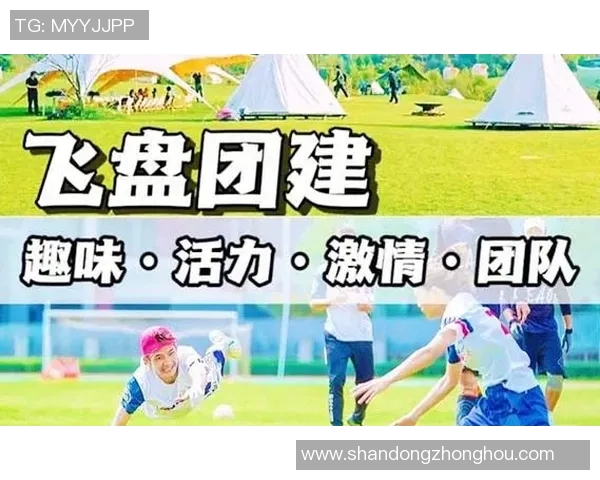 飞盘战术解析：武汉飞盘队如何构建高效控制体系与战术执行